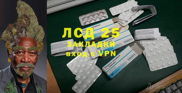 дживик Абаза