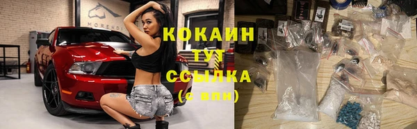дживик Абаза